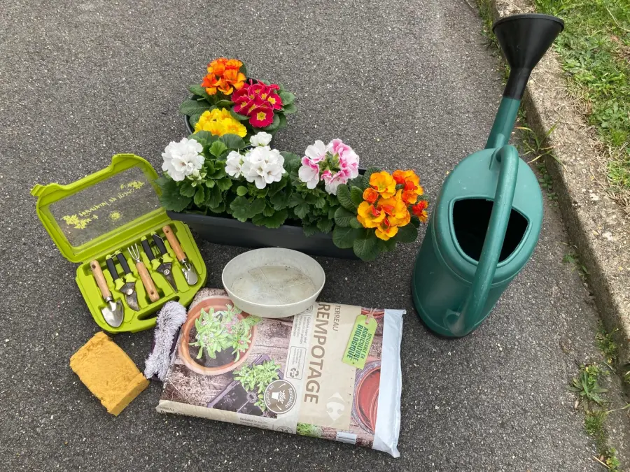 Matériel, fleurs, terreau et arrosoir préparés pour l'entretien d'une sépulture